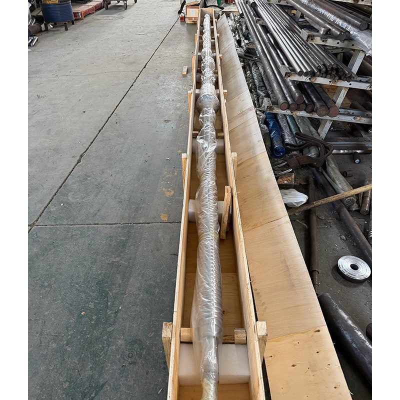 Consegna giornaliera | La vite a sfere modello 10020 è lunga fino a 8 metri